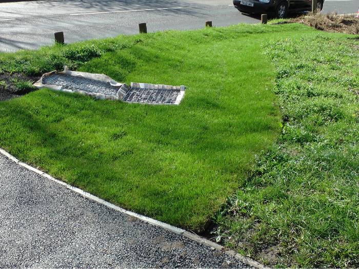 "a picture of a basin submerged in a grass verge"