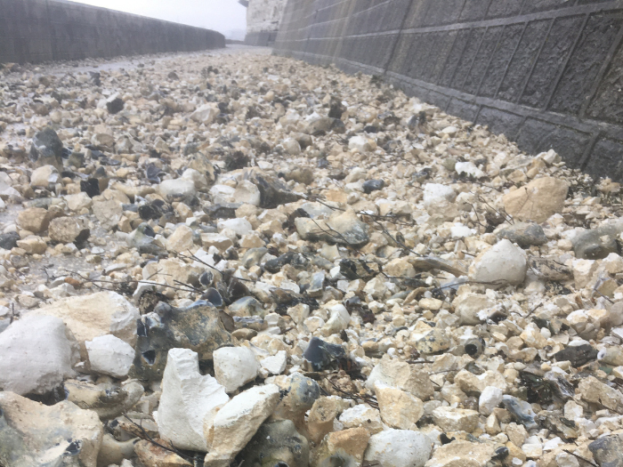 A picture of rocks at the bottom of a cliff