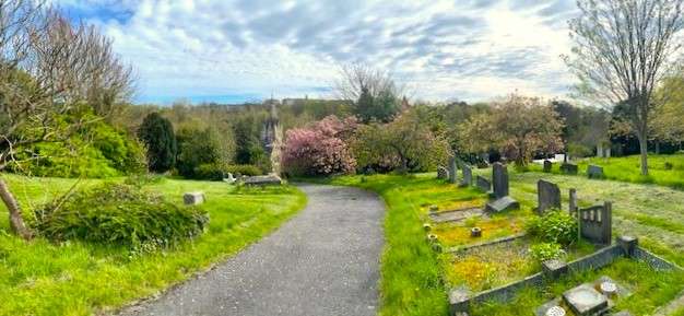 Paved path going through a cemetery. Green grass and graves on either side. Trees and blue sky in background.