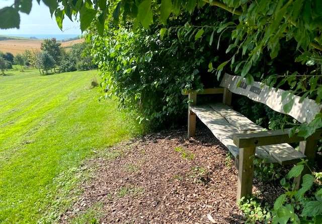 A wooden bench with commemorative plaques sits under the shade of some trees. It overlooks a peaceful field, with the South Downs rolling in the distance