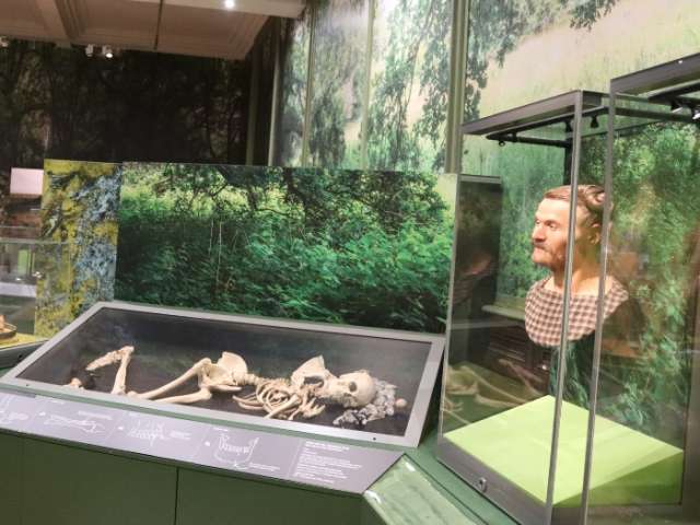 Elaine Evans Archaeology Gallery