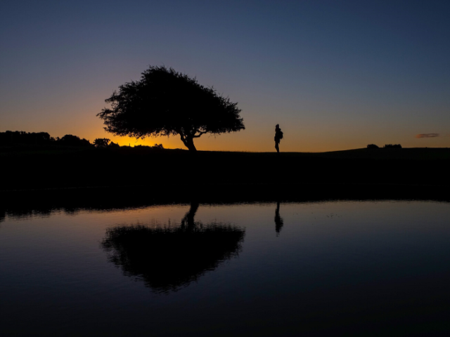 Dew Pond - photo Cary Creed 