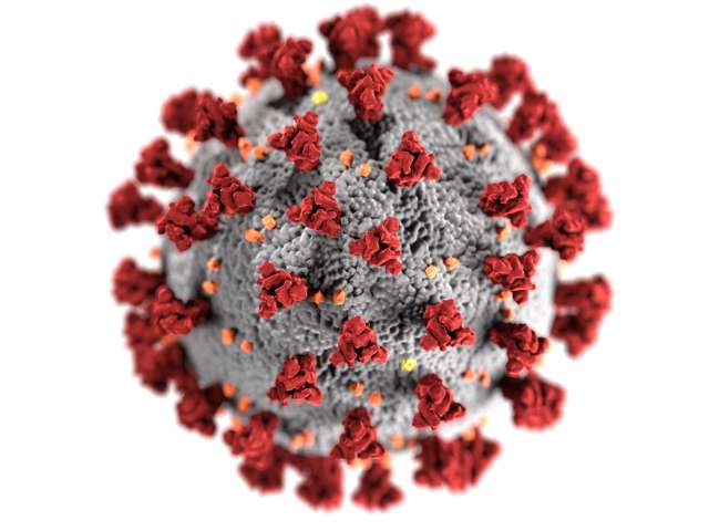 Coronavirus - under the microscope image