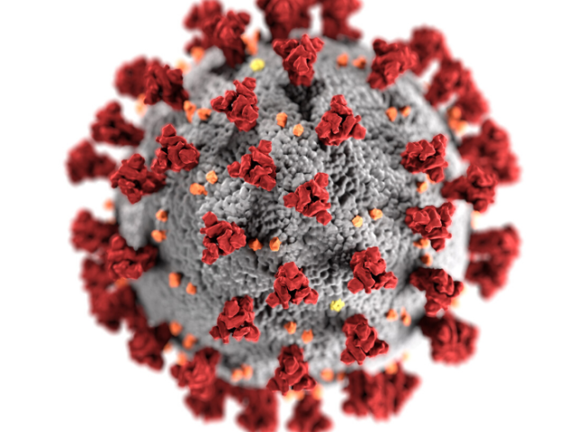 Image of a corona virus