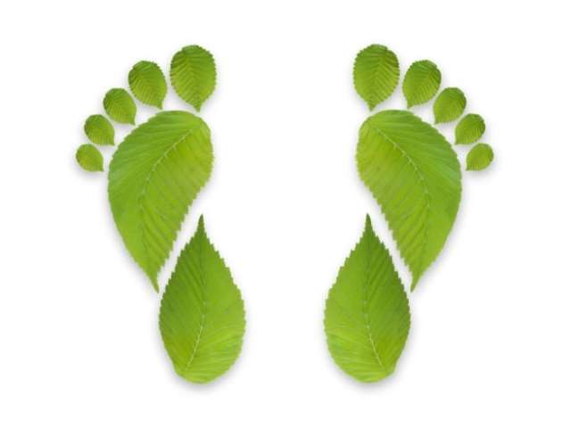 Graphic of two feet illustrating a carbon footprint.