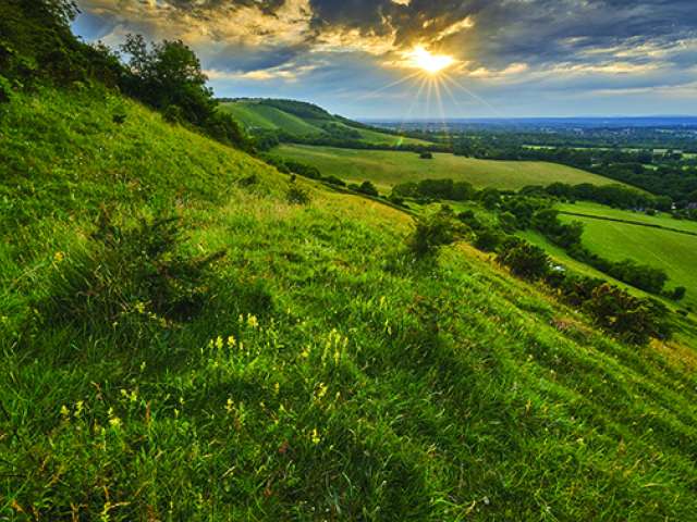 Photo of the South Downs