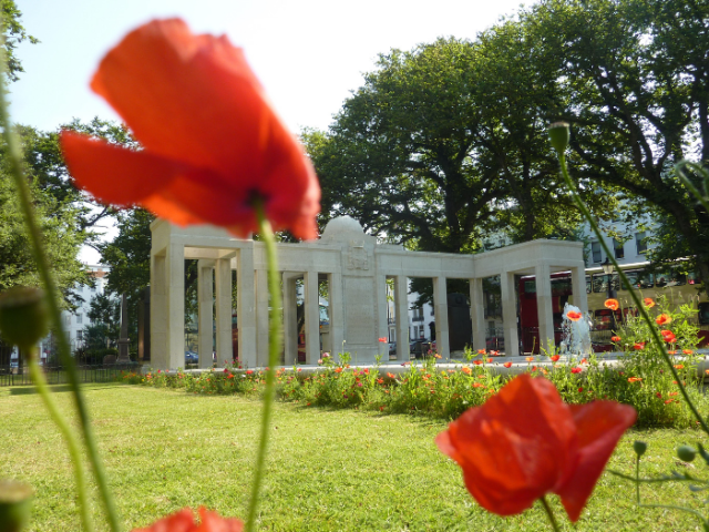 Photograph of poppies with the Brighton War Memorial in the Old Steine in the background. 