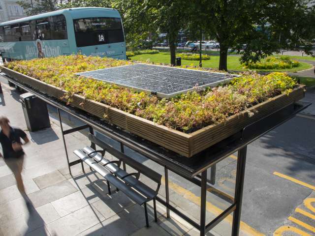 Living roof with sedum and solar panel on a bus stop in Hove, with low emission bus and a runner in the background