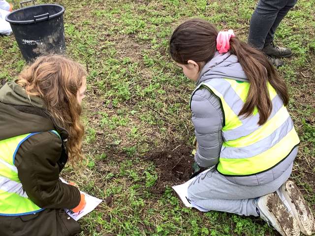 Two school children either side of a small shrub being planted