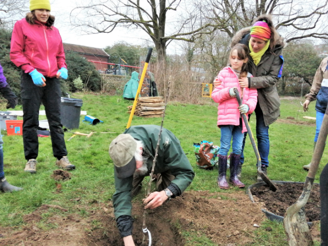 Photo of tree planting in Brighton & Hove