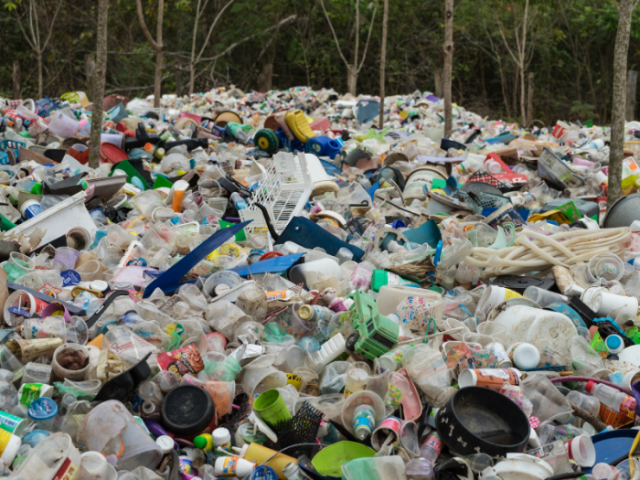 Piles of plastic waste, including bottles, toys and other containers, in a woodland