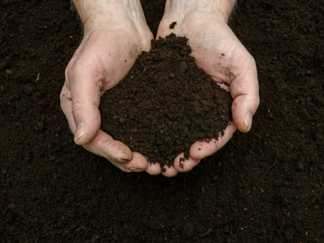 pair of hands scooping up a mix of biochar and compost