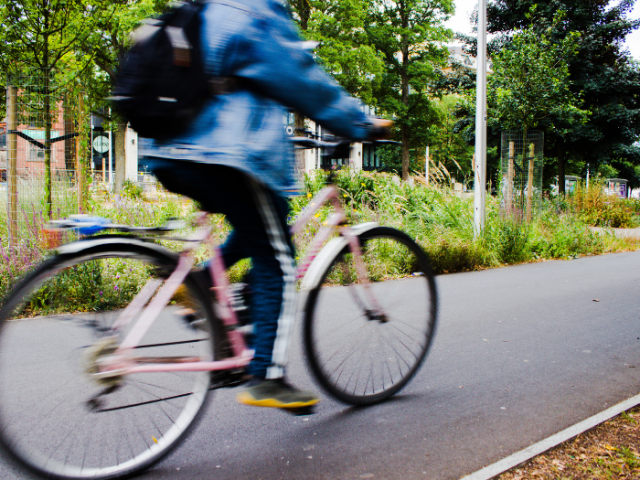 A person riding a bike