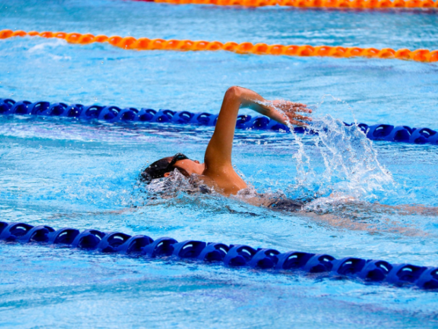 Picture of a swimmer in  swimming pool
