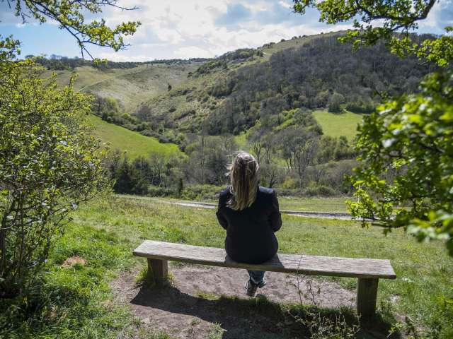 Woman on a bench at Devil's Dyke, seen from the back with hills, trees and fields in front of her