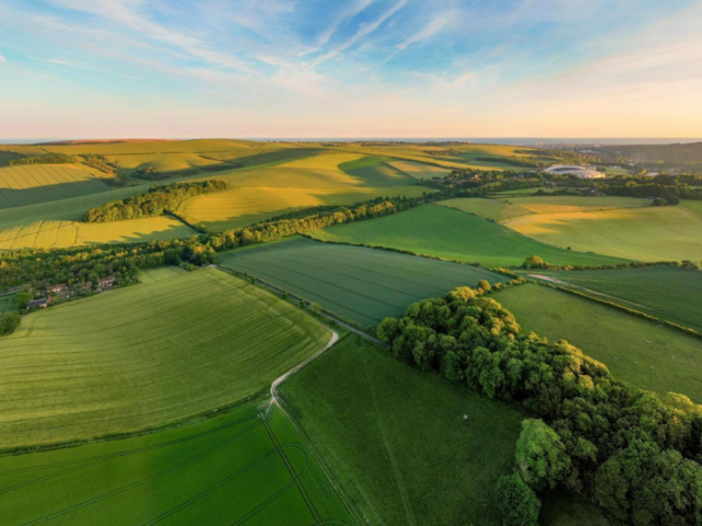 Photograph of green fields in The South Downs National Park