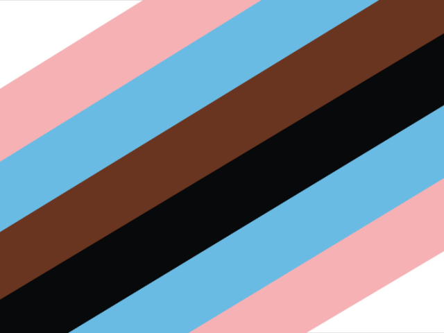 Graphic version of the inclusive Trans flag