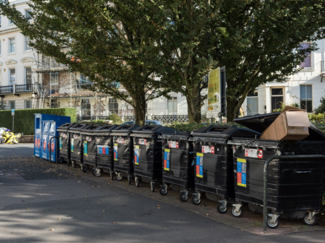 Photograph of a line of large recycling bins.