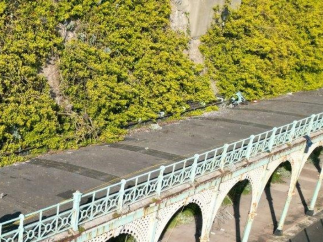 On a sunny day green plants can be seen growing up a grey concrete wall from a raised terrace. The terrace has light blue painted cast iron railings along its edge and below it white decorative arches dop into pillars to the ground below.