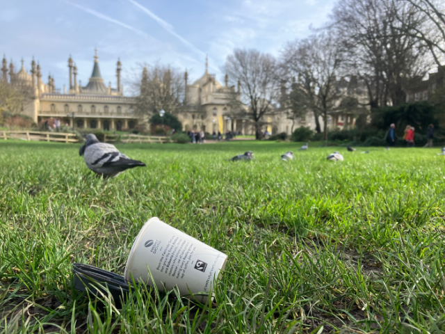 Picture of litter near the Royal Pavilion