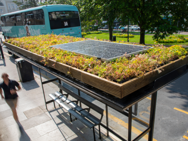 In the foreground a bus shelter on a pavement has a green, planted roof with a solar panel amonsgt the green and red plants. A jogger is running past the stop and beyond it a light blue bus is heading down the road.