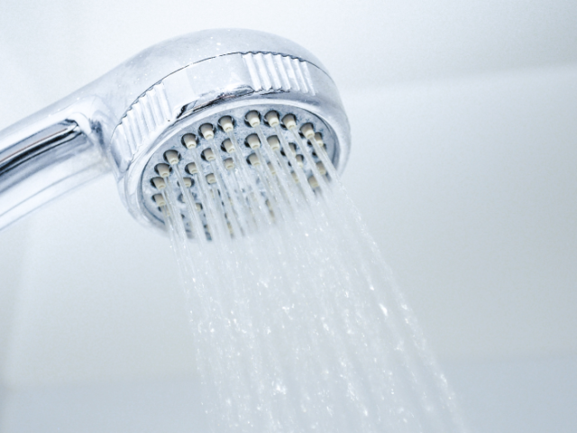 The image shows a shower head.