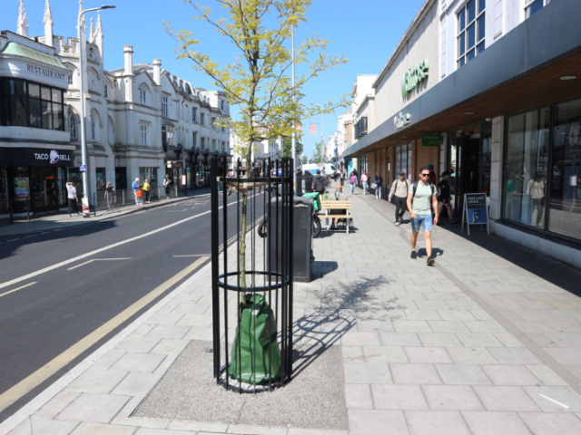 A picture of a road with a street tree, seating and pedestrians