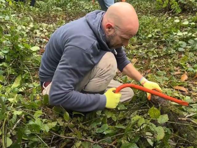 A picture of a man using a saw to cut a log