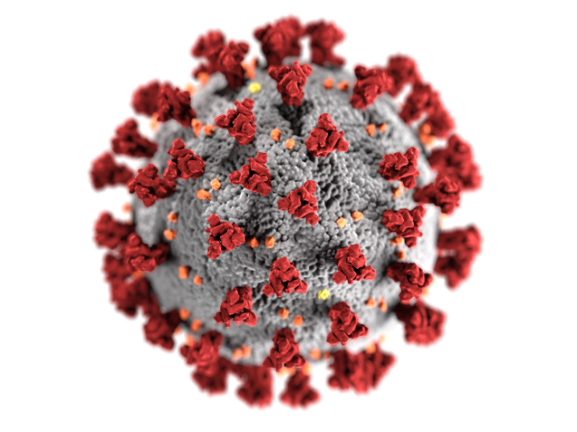 Microscope image of Coronavirus
