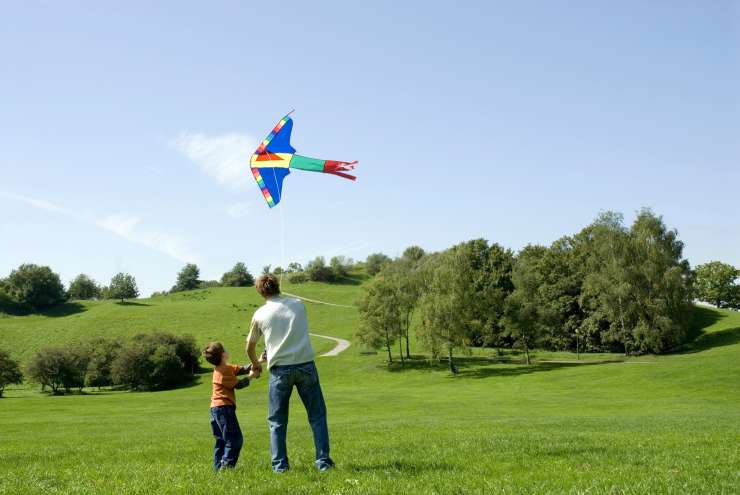 Adult and child, seen from behind, flying a kite in the park on a sunny day