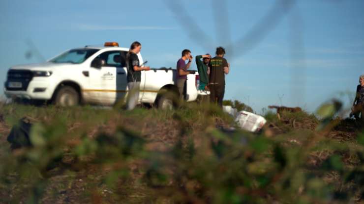 In the distance, a group of park rangers are standing in front of a white Brighton & Hove City Council truck.